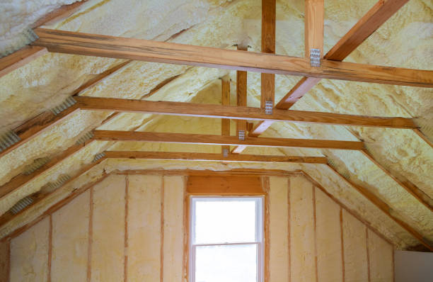 Types of Insulation We Offer in Egypt Lake Leto, FL