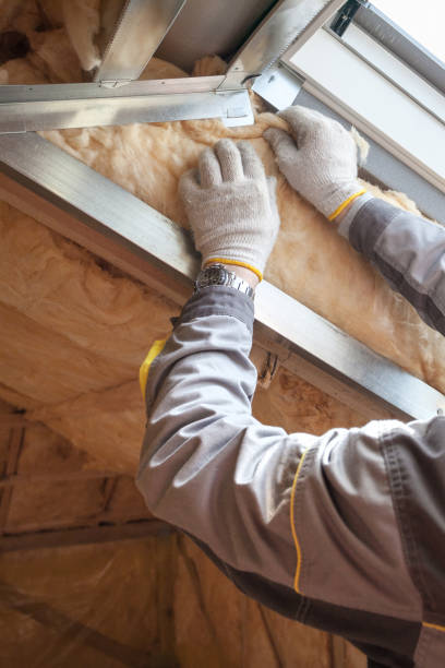 Best Eco-Friendly Insulation in Egypt Lake Leto, FL