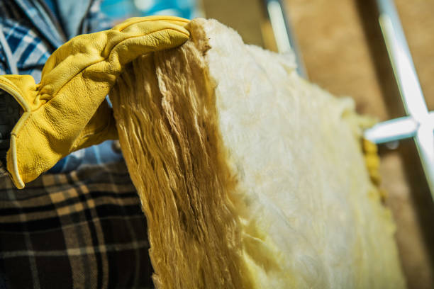 Best Energy Efficiency Insulation in Egypt Lake Leto, FL