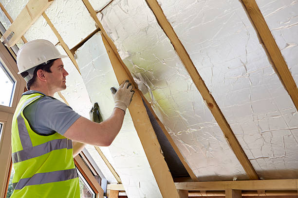 Best Cellulose Insulation in Egypt Lake Leto, FL