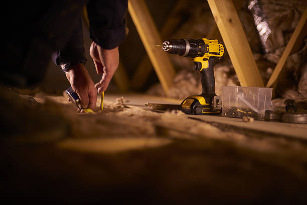 Best Geographic-Specific Insulation Services in Egypt Lake Leto, FL