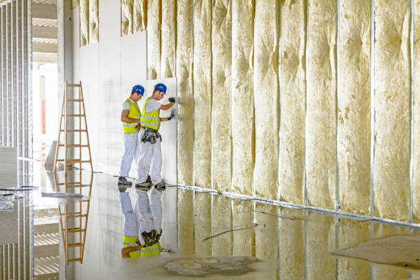 Best Commercial Insulation in Egypt Lake Leto, FL